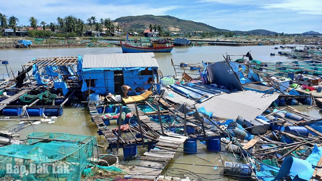 Bão số 13 đánh tan hoang các lồng bè nuôi cá mú, tôm hùm tại đầm Cù Mông thuộc xã Xuân Cảnh. Ảnh: Trung Hiếu