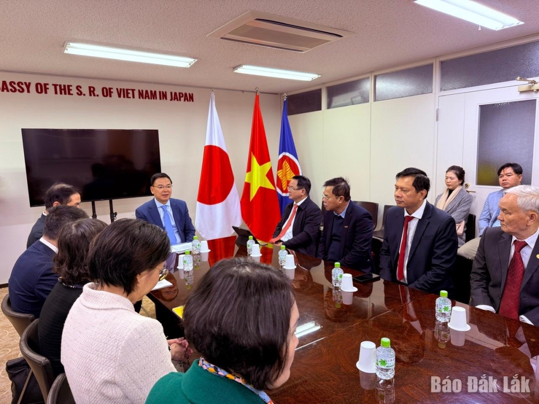 Các đại biểu tham dự buổi làm việc.