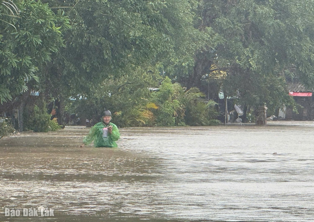 Nhiều tuyến đường ở khu vực trung tâm phường Tuy Hòa ngập sâu.