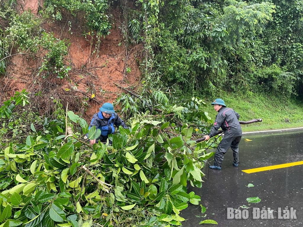 Lực lượng chức năng xã Ea Trang thu dọn cây gãy đổ tại Đèo Phượng Hoàng vào ngày 20/11.
