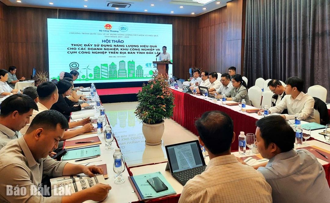 Các đại biểu tham gia hội thảo.