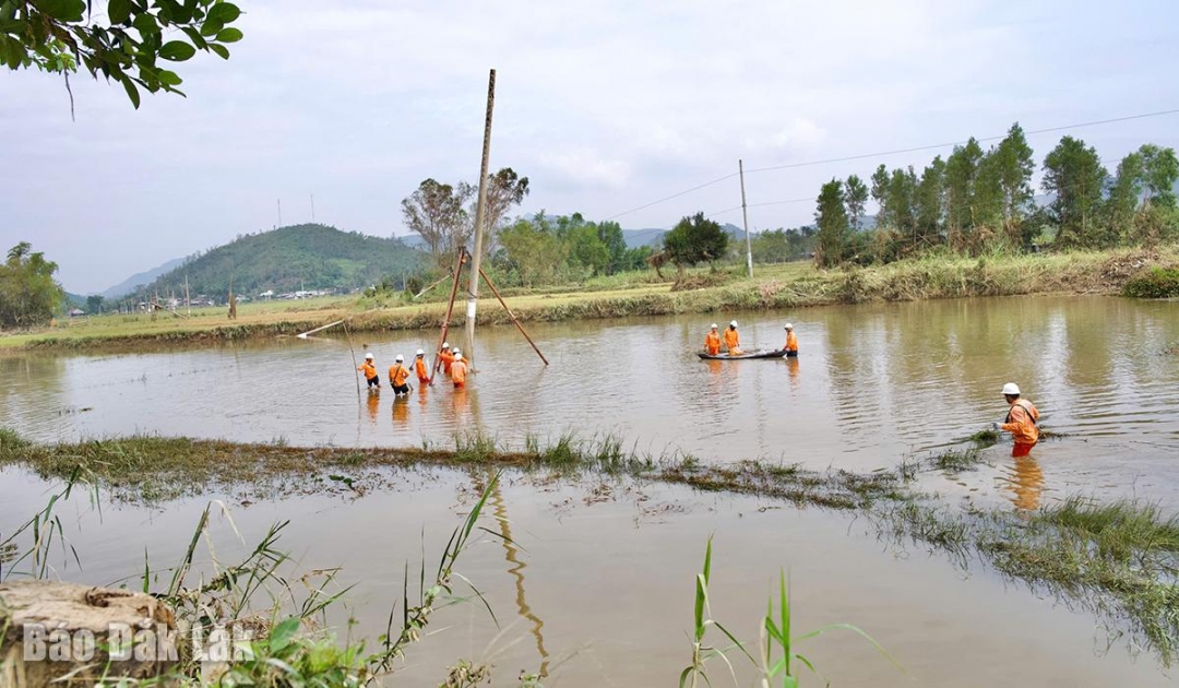Nhân viên Công ty Điện lực Đắk Lắk khắc phục thiệt hại tại phường Sông Cầu.