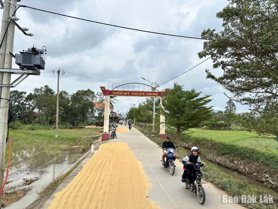 Nhiều vùng quê ở các địa phương khu vực phía Đông tỉnh Đắk Lắk dần trở lại cuộc sống yên bình sau cơn lũ dữ.