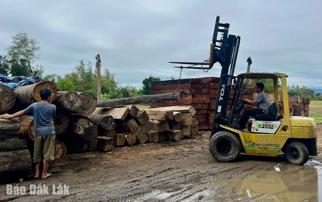 Những tấm gỗ bị ngâm nước được các cơ sở làng nghề chuyển đến nơi khô ráo.