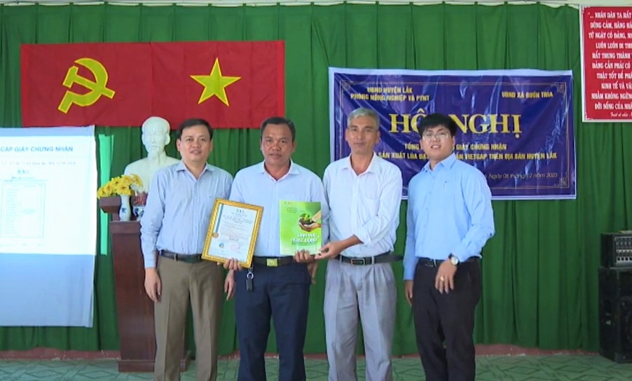 Phòng Nông nghiệp và Phát triển nông thôn huyện Lắk trao giấy chứng nhận lúa đạt tiêu chuẩn VietGAP cho người dân xã Buôn Tría.