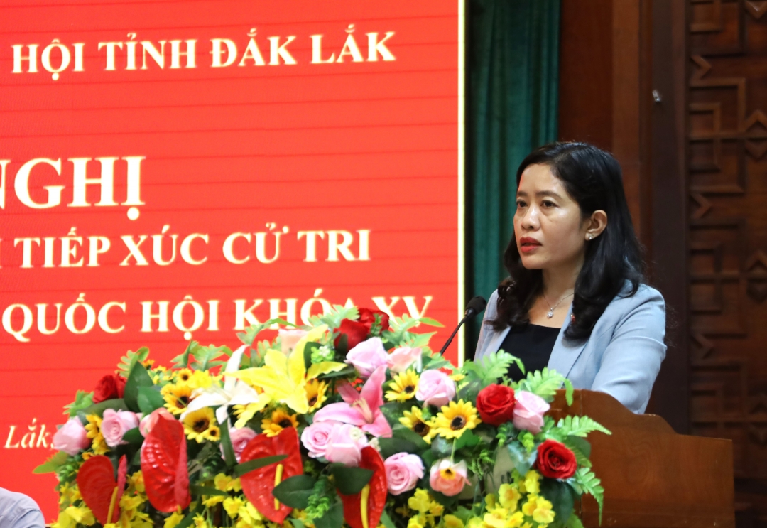 Phó Trưởng Đoàn chuyên trách phụ trách Đoàn đại biểu Quốc hội tỉnh Lê Thị Thanh Xuân phát biểu tại hội nghị.