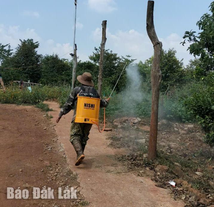 Người dân xã Cư Pơng (huyện Krông Búk) chủ động phun hóa phòng, chống dịch bênh tả lơn Châu Phi.