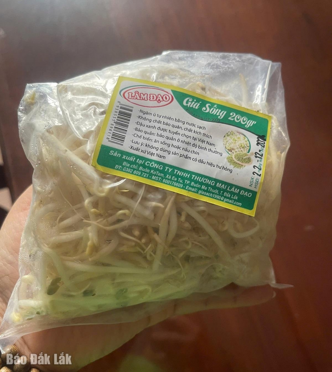 Sản phẩm giá đỗ do Công ty TNHH Thương mại Lâm Đạo sản xuất.