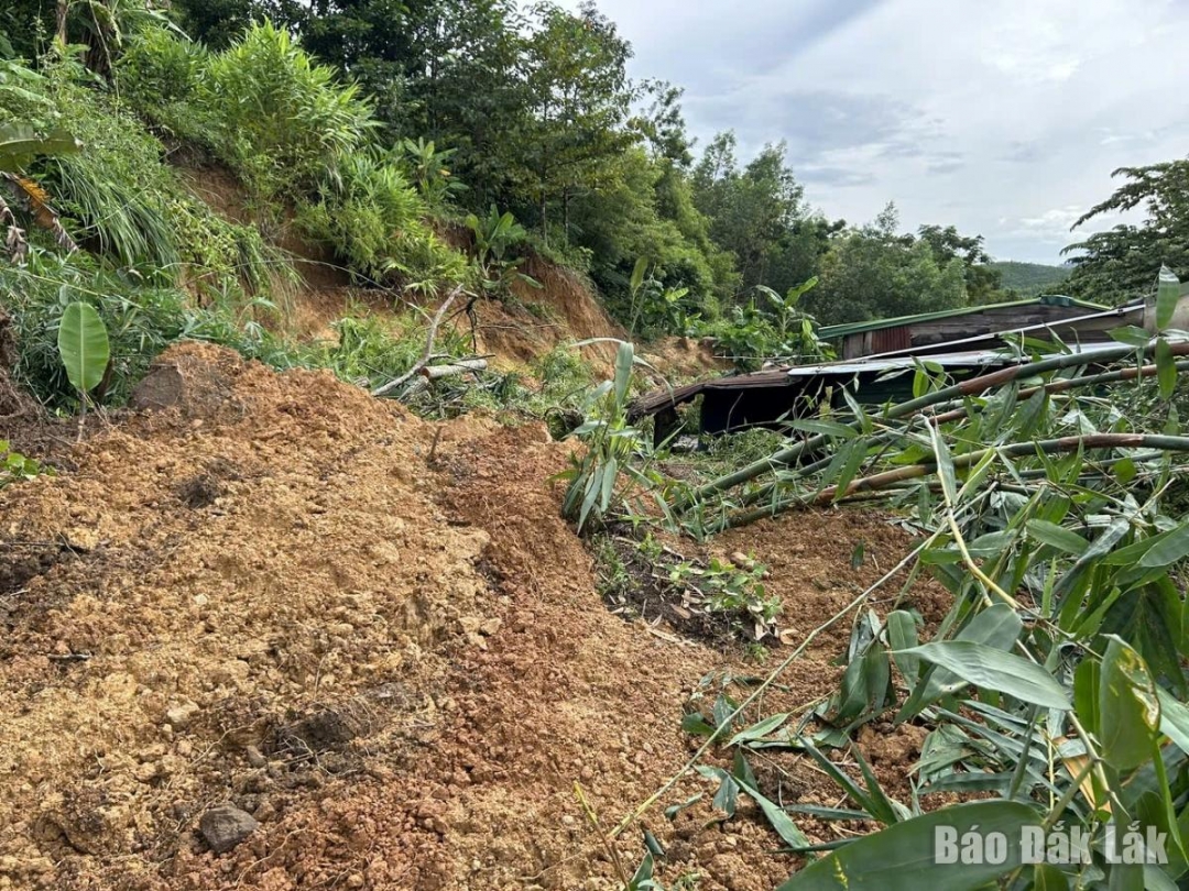 Mưa lớn gây sạt lở đất trên địa bàn huyện MDrắk hồi tháng 10/2024.