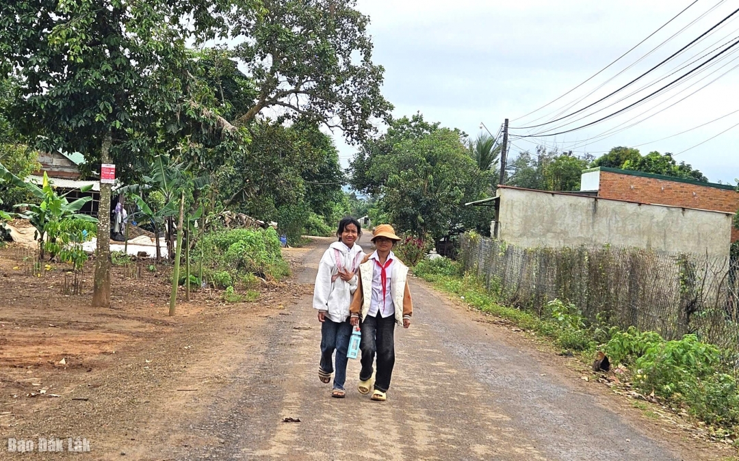 các cấp, ngành và các buôn trên địa bàn xã Dang Kang đã quan tâm lãnh đạo, chỉ đạo và tổ chức triển khai kịp thời, đồng bộ nhiều giải pháp.