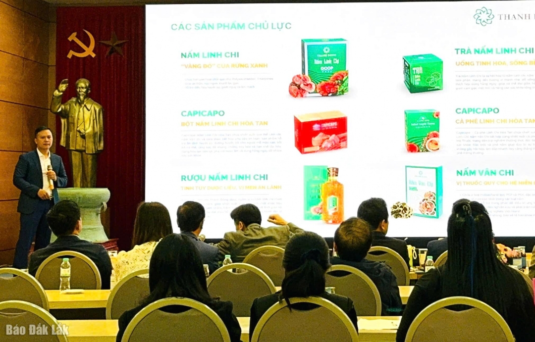 Dự án Sản xuất, chế biến, thương mại nấm ăn và nấm dược liệu dưới mái pin năng lượng mặt trời là mô hình “nông nghiệp kép”.