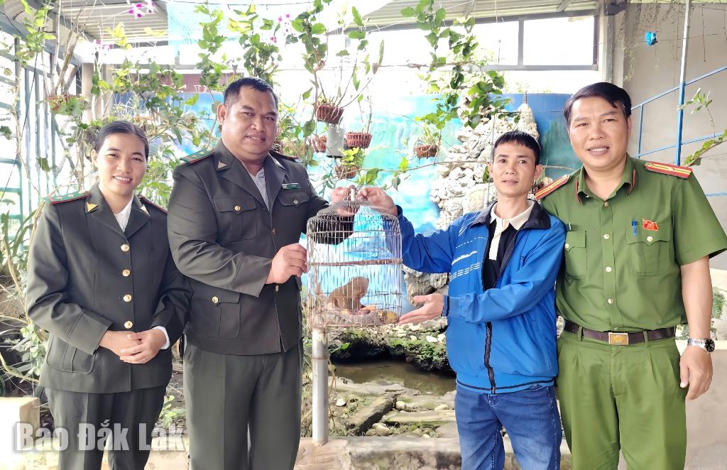 Anh anh Lê Văn Định thứ 2 bên phải) bàn giao cá thể Cu Li quý hiếm cho lực lượng chức năng thả về tự nhiên.