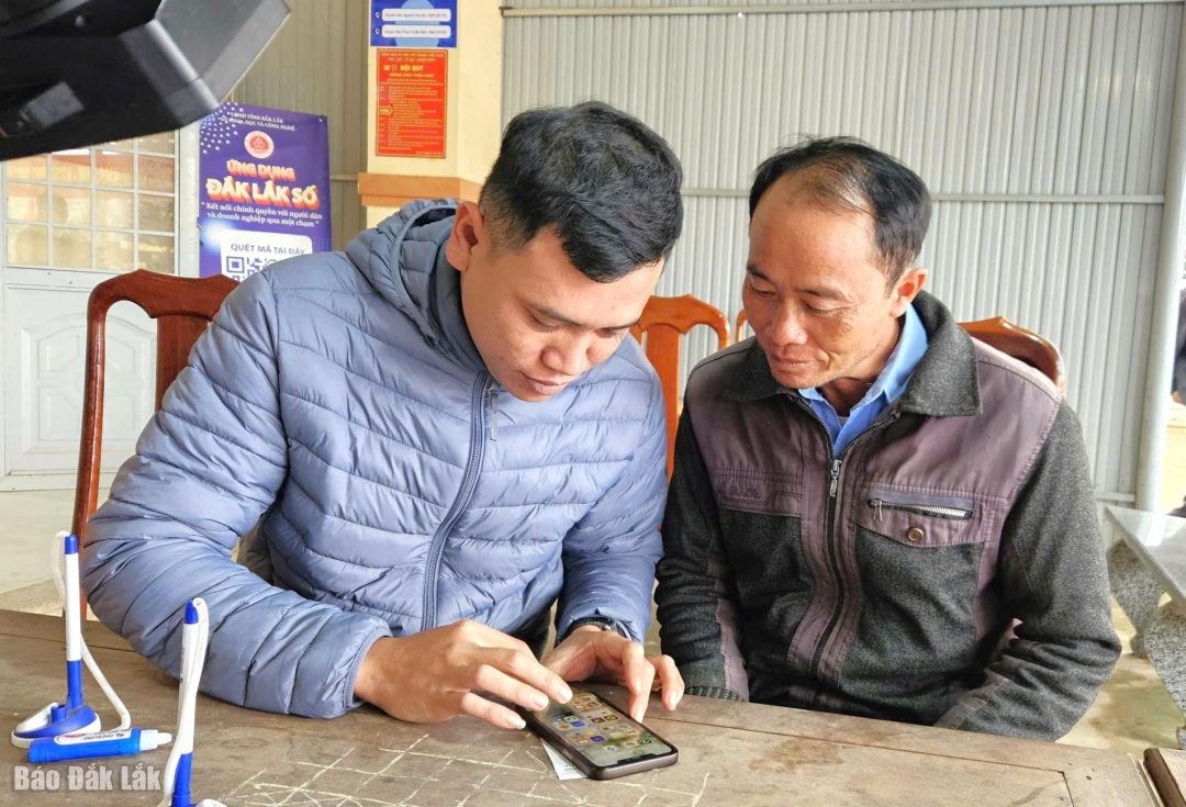 Cán bộ phòng kinh tế xã Yang Mao hướng dẫn người dân sử dụng điện thoại để tìm hiểu kỹ thuật chăm sóc cây trồng.