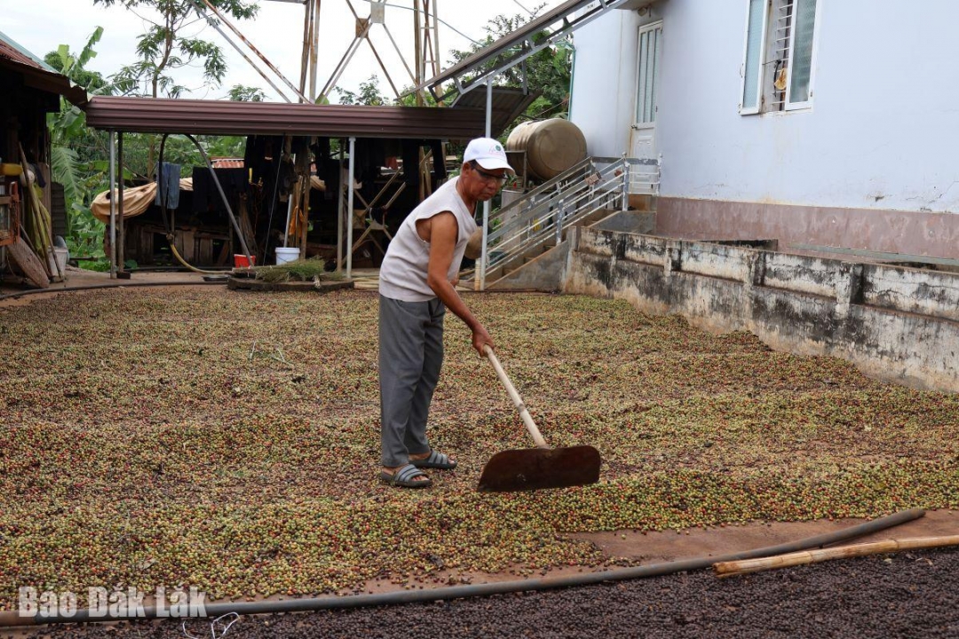 Già Y Hơ Êban phụ giúp con cháu 