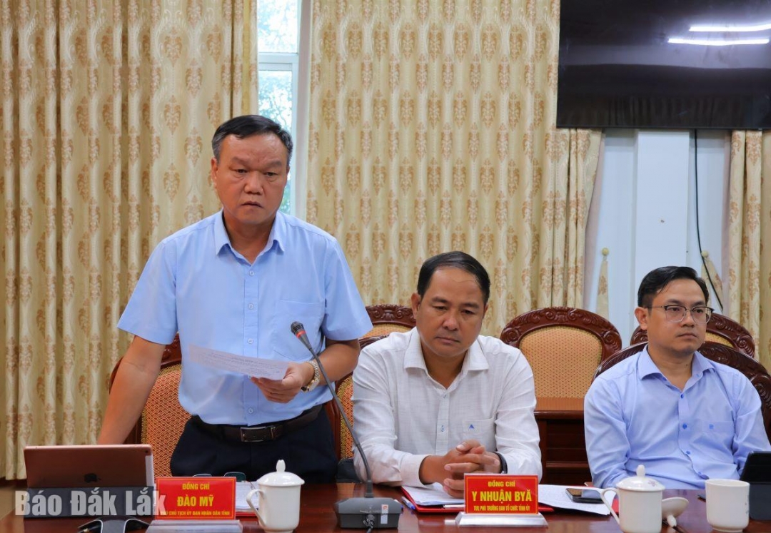 Phó Chủ tịch UBND tỉnh Đào Mỹ phát biểu tại hội nghị.