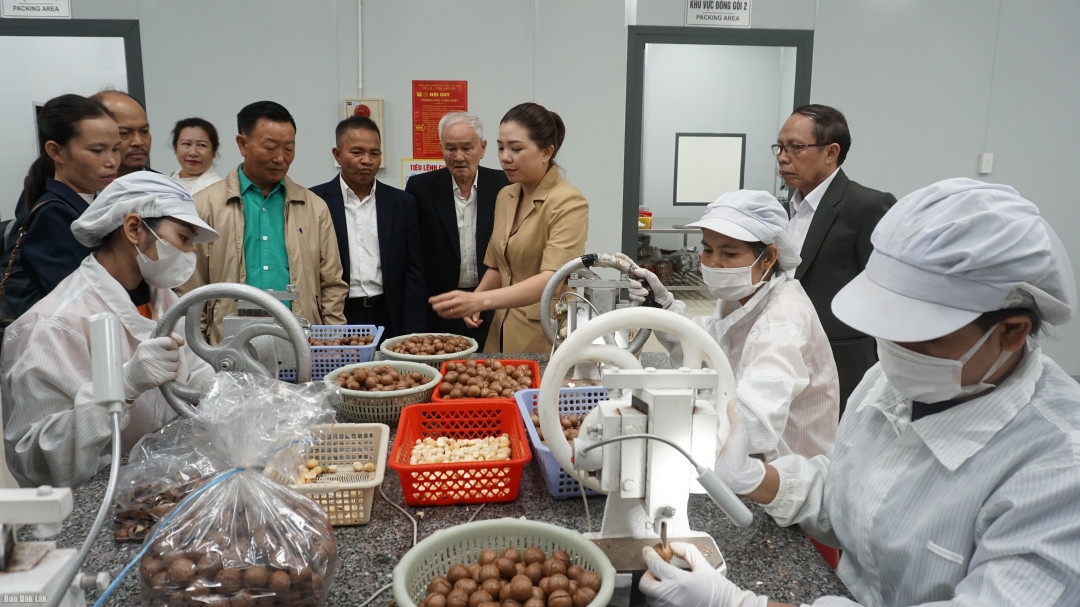 Một doanh nghiệp hoạt động trên địa bàn phường Buôn Ma Thuột.