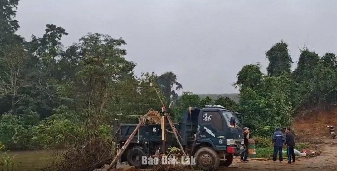 Phương tiện và tang vật tại thời điểm kiểm tra.