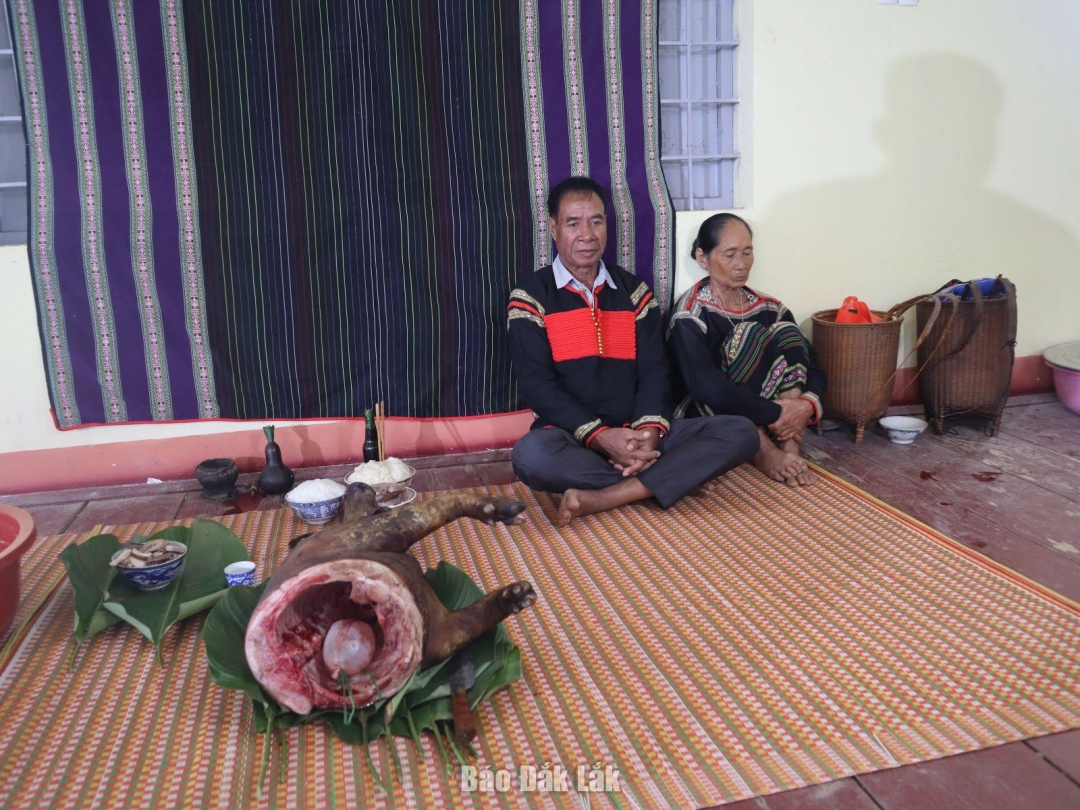 Lễ vật trong nghi lễ là một con heo.