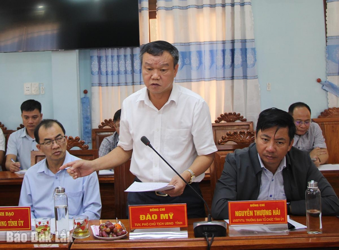 Phó Chủ tịch UBND tỉnh Đào Mỹ phát biểu tại buổi làm việc ở phường Đông Hòa.