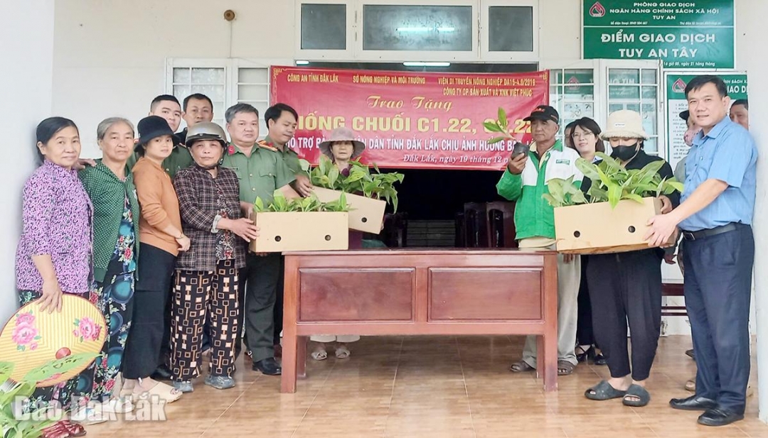 Bà con nhận hỗ trợ chuối giống khôi phục sản xuất sau bão lũ.