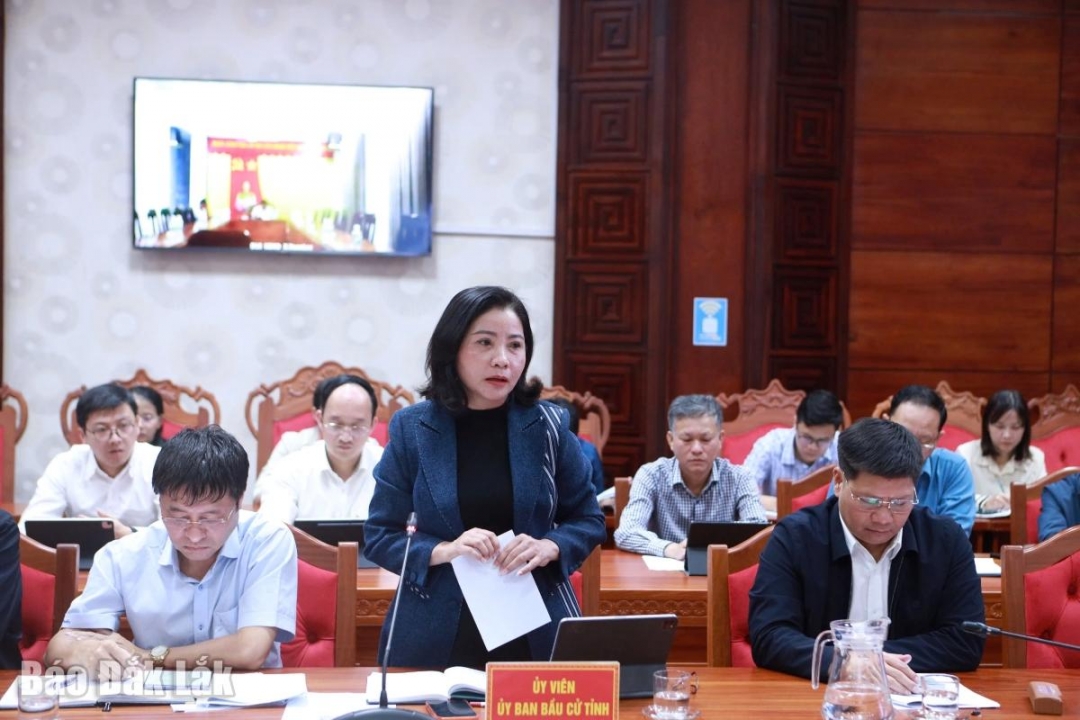 Phó Trưởng đoàn chuyên trách phụ trách Đoàn ĐBQH tỉnh Nguyễn Thị Thu Nguyệt phát biểu tại phiên họp.