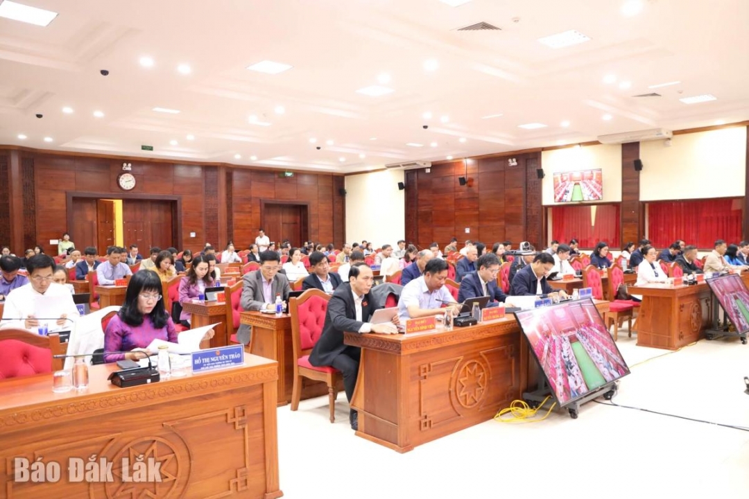 Đại biểu tham dự kỳ họp.