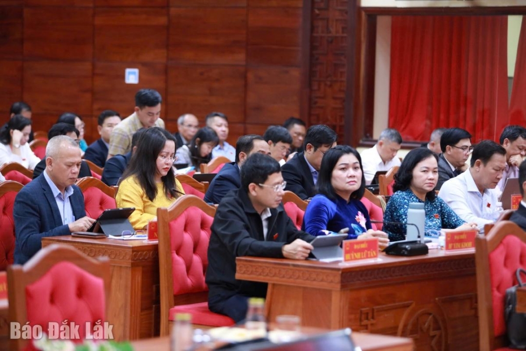 Đại biểu tham dự phiên làm việc.