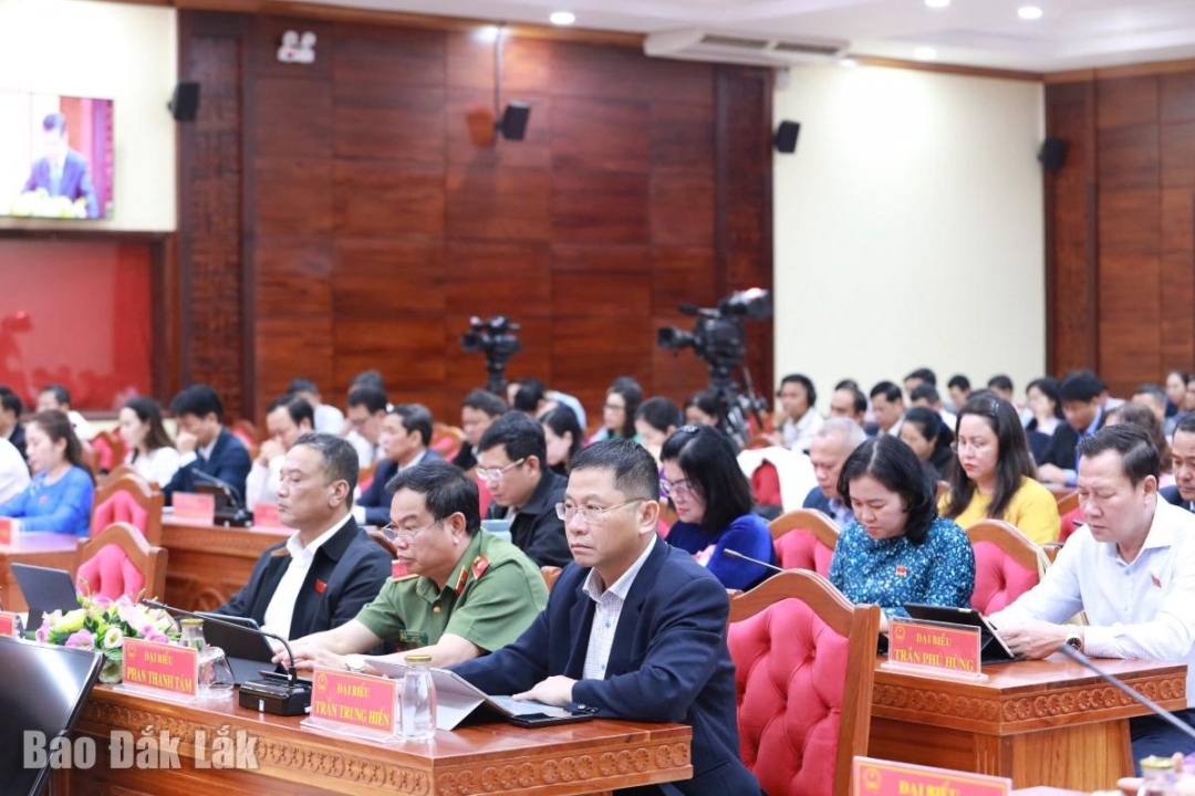 Đại biểu tham dự phiên làm việc.