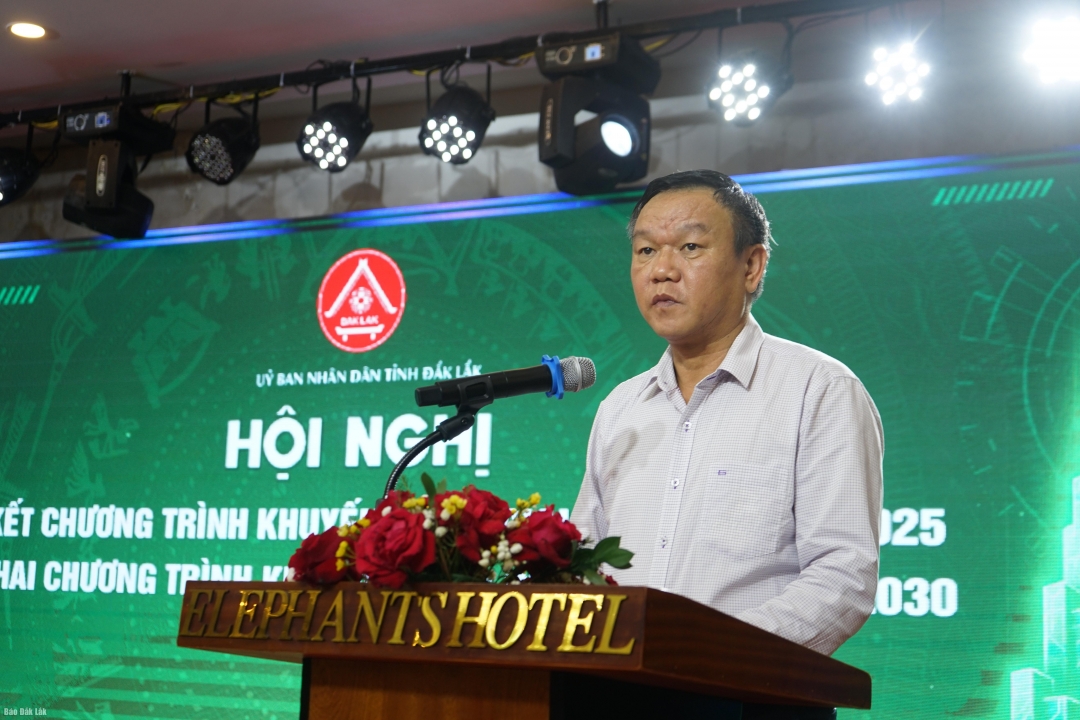 Phó Chủ tịch UBND tỉnh Đào Mỹ phát biểu chỉ đạo tại hội nghị