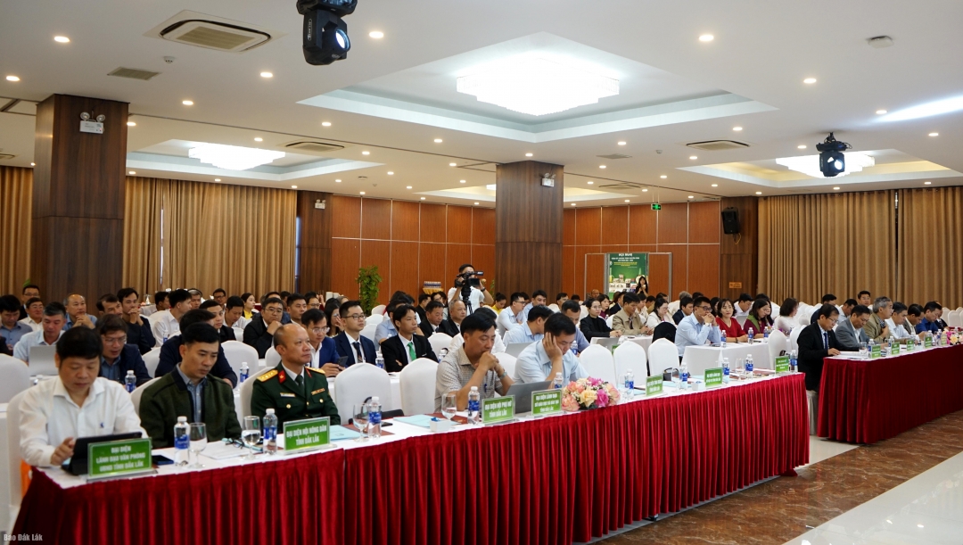 Đại biểu tham dự hội nghị