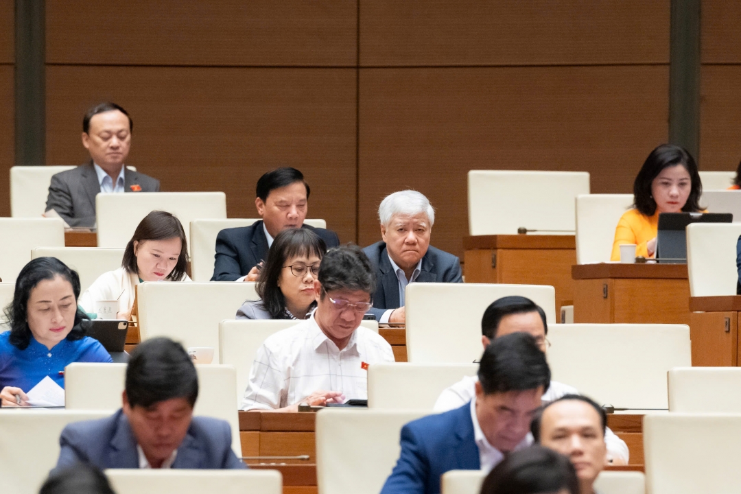 Đại biểu tham dự phiên họp. Ảnh: quochoi.vn