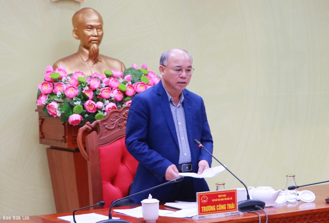 Phó chủ tịch UBND tỉnh Trương Công Thái phát biểu tại buổi làm việc.