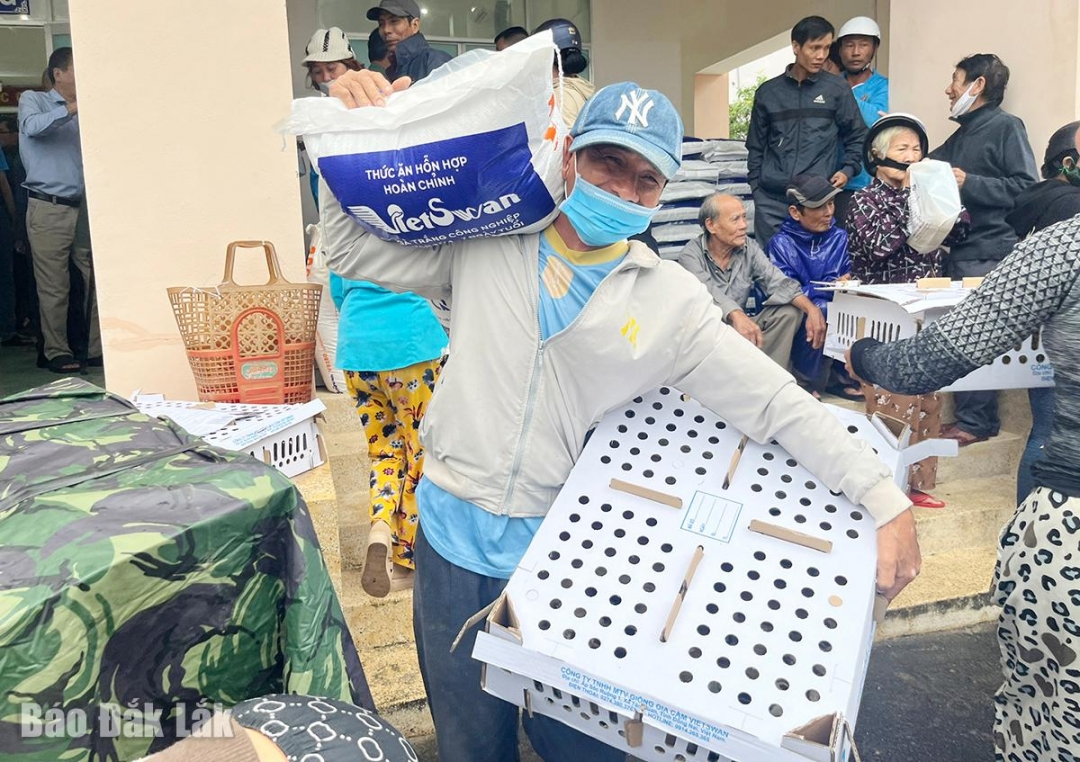 Được hỗ trợ, người dân có cơ hội tái thiết sản xuất sau bão lũ.