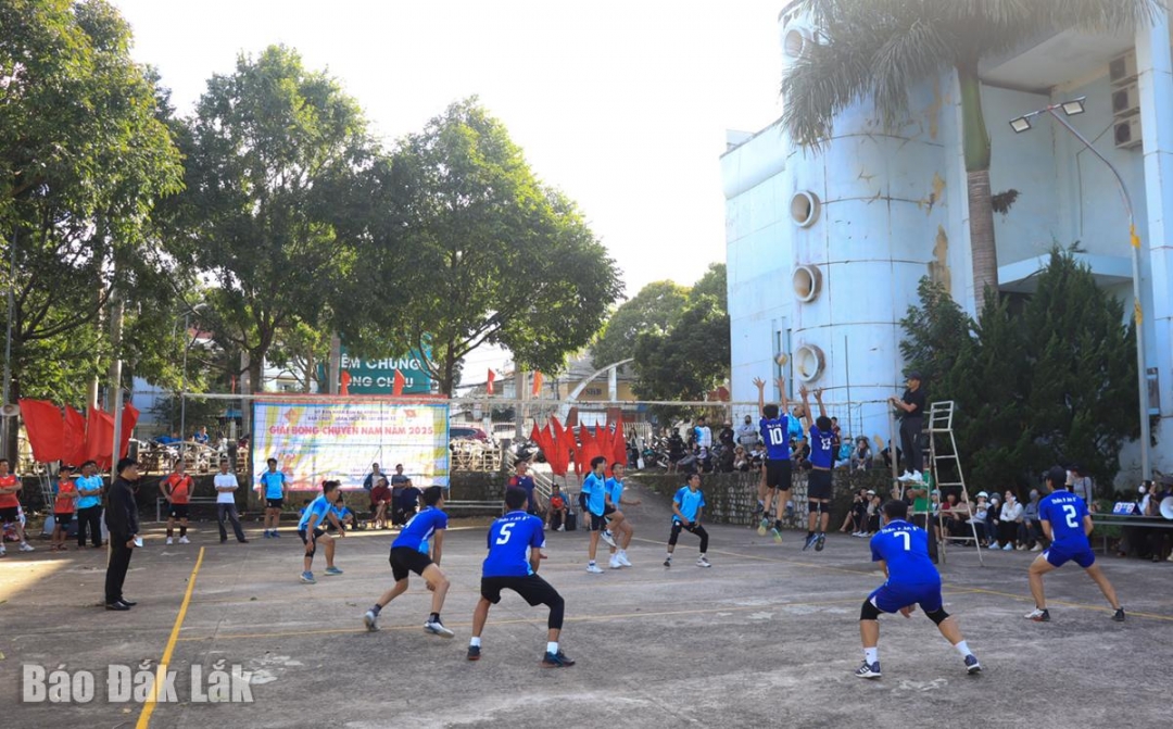 Trận đấu bóng chuyền giữa đội thôn 19/5 và đội thôn Phước An 8.