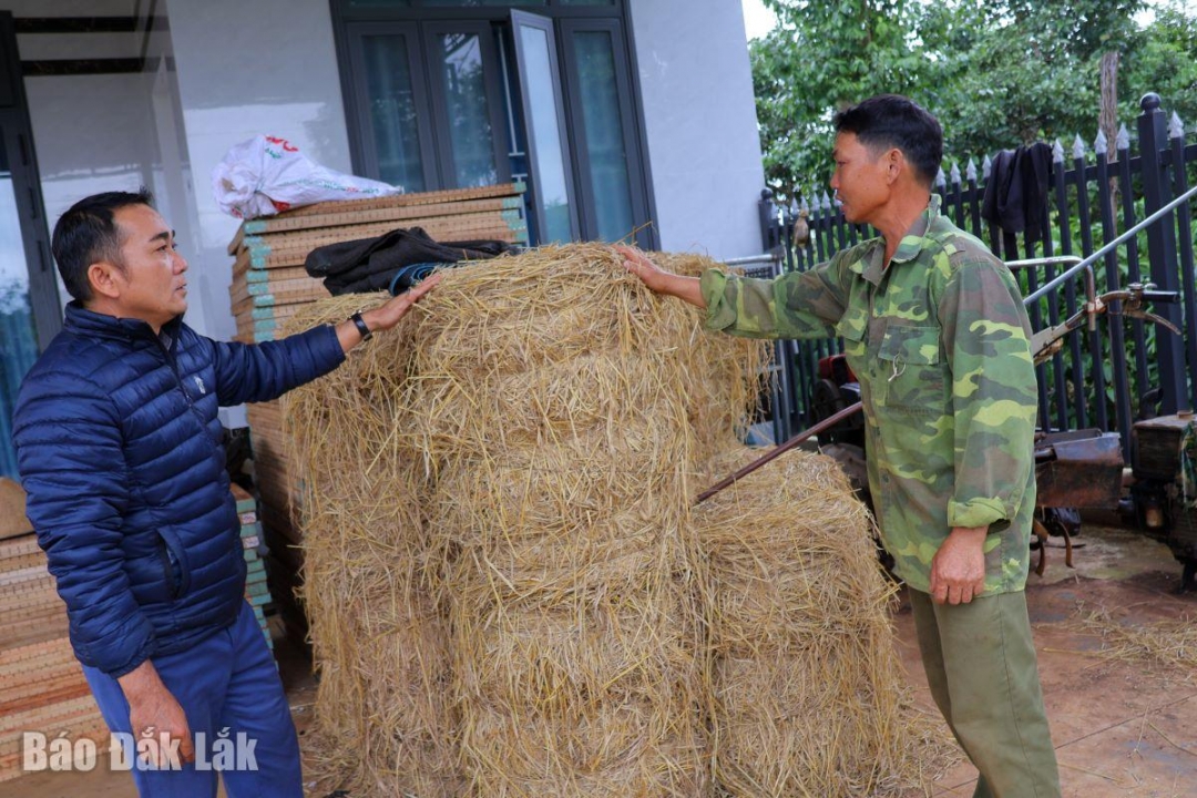 Anh Lý tận dụng