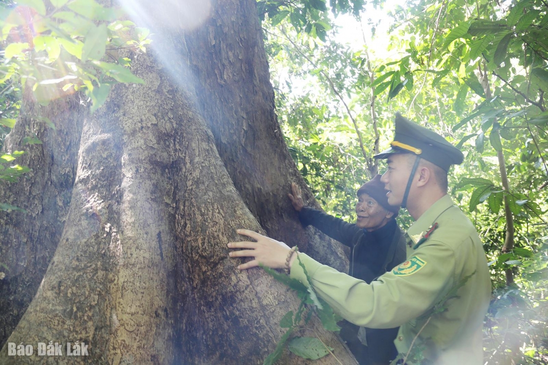 Người dân buôn Mắp tham gia cùng lực lượng kiểm lâm giữ rừng