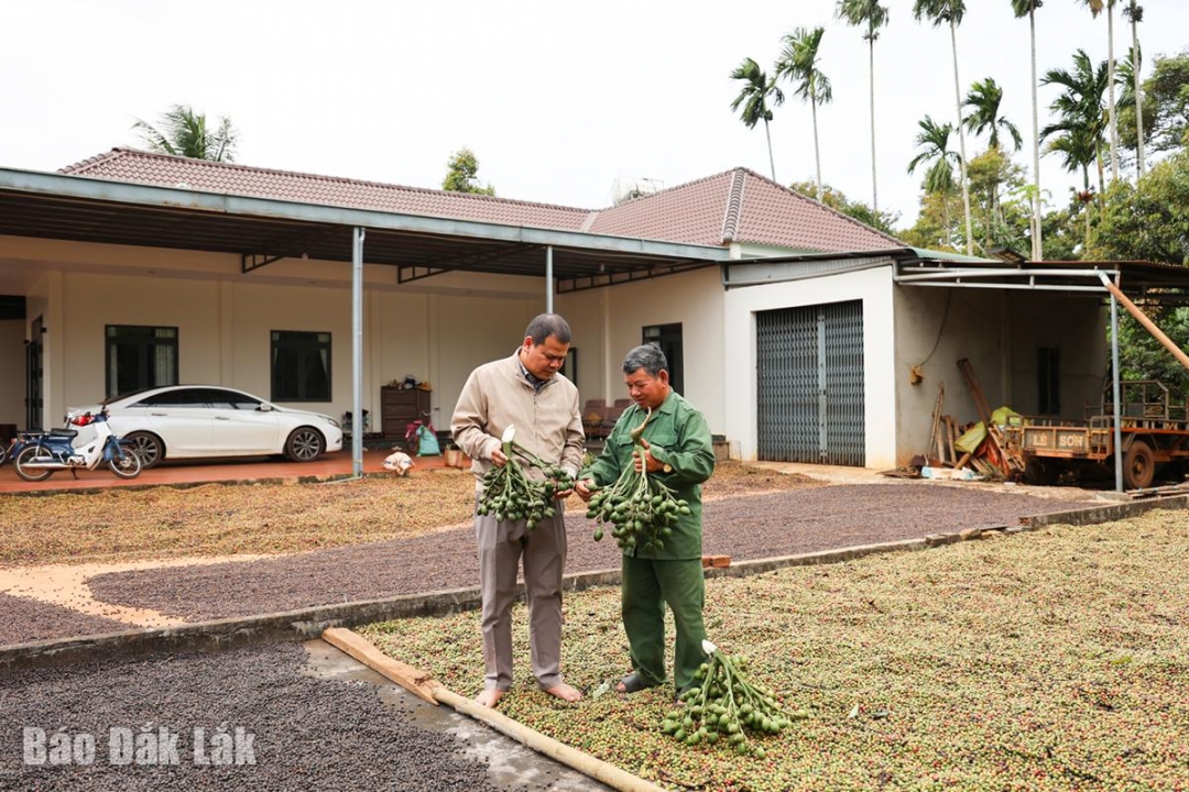 Cơ ngơi của ông Y Brắk Knul (bìa phải) được tạo dựng nhờ hiệu quả sản xuất nông nghiệp.