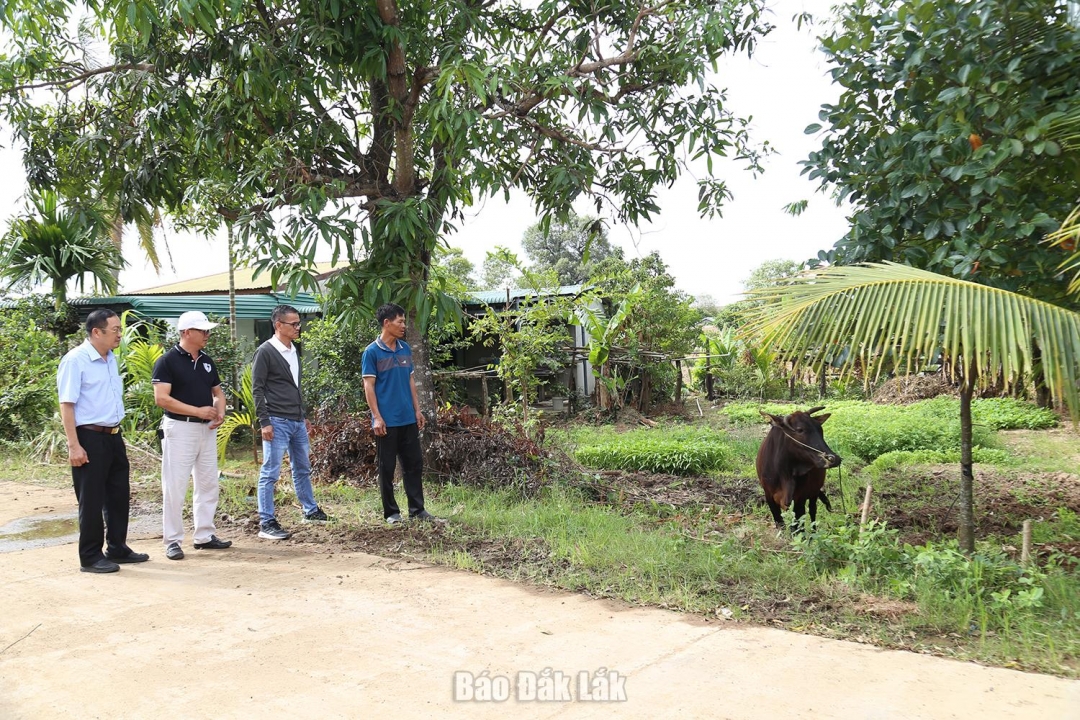 Đại diện UBND xã Ea Bung và Vườn Quốc gia Yok Đôn trao bò hỗ trợ cho người dân