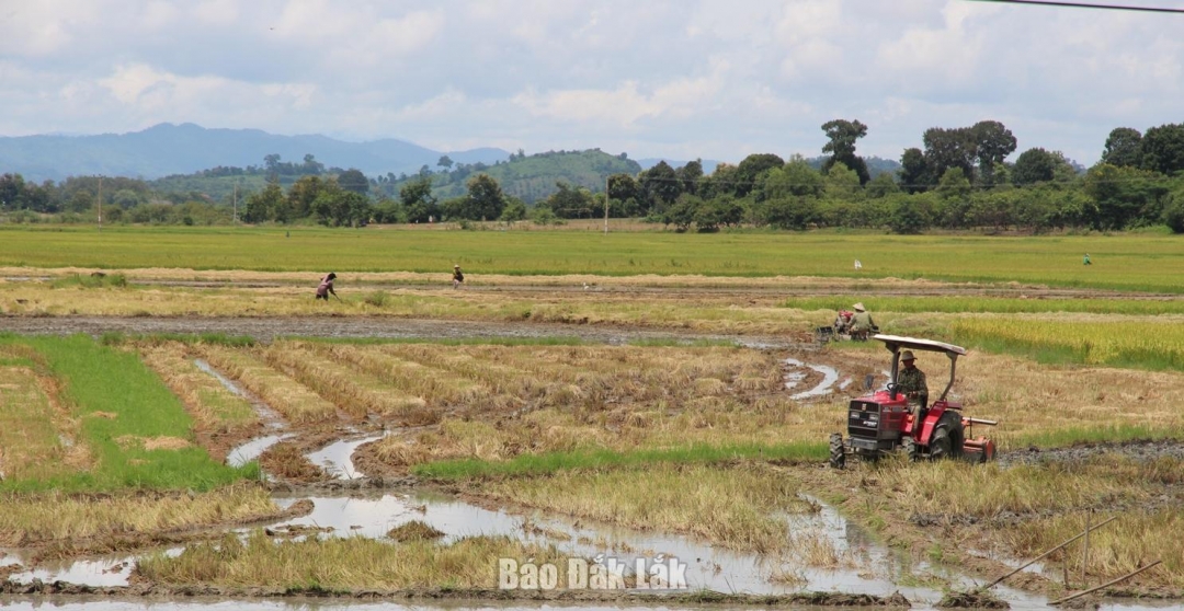 Nông dân trên địa bàn xã Liên Sơn Lắk áp dụng máy móc, khoa học kỹ thuật vào sản xuất nông nghiệp. 
