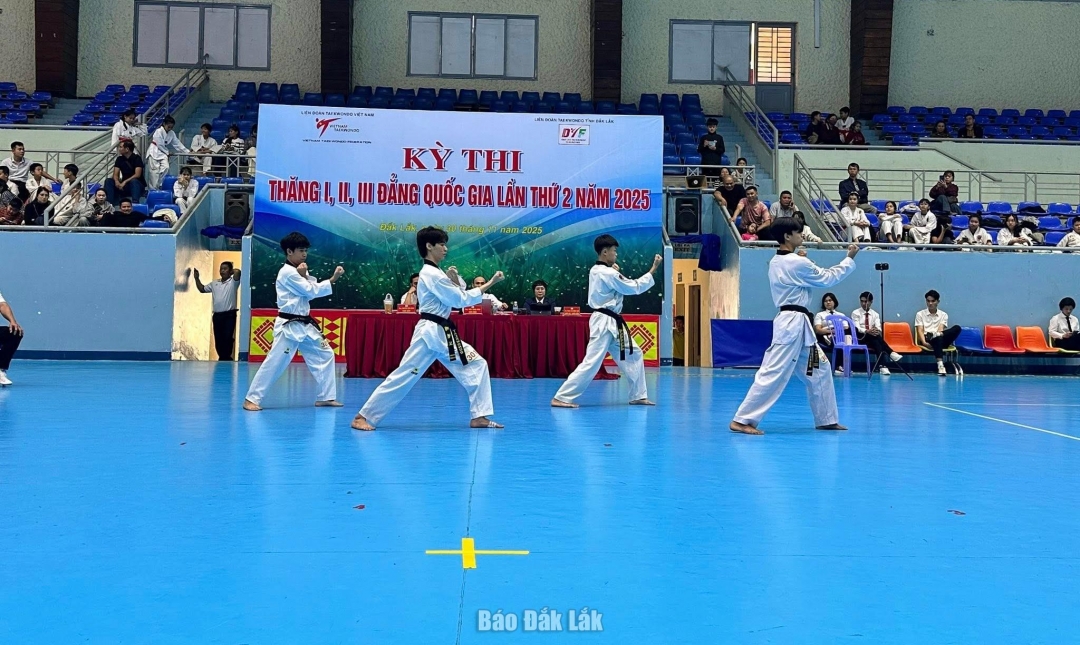 Các võ sinh tham dự kỳ thi.