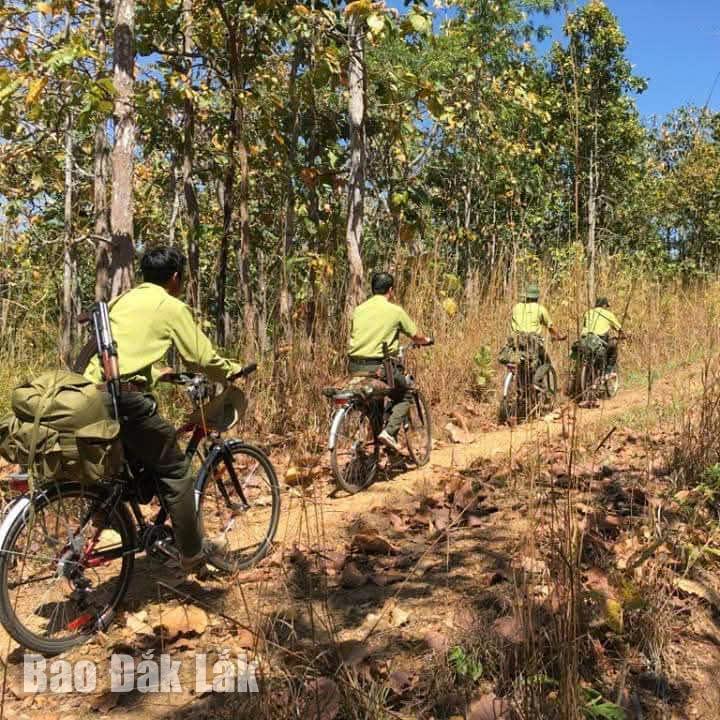 Các đòng chí kiểm lâm tuần tra bảo vệ rừng