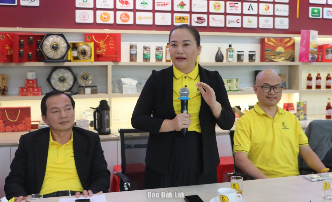 Phó Chủ tịch Hiệp hội doanh nhân tỉnh Đắk Lắk Hoàng Thị Thúy phát biểu ý kiến tại hội nghị.