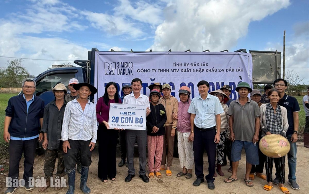 Lãnh đạo công ty trao bản tượng trưng 20 con bò sinh sản cho lãnh đạo xã Tuy An Tây.