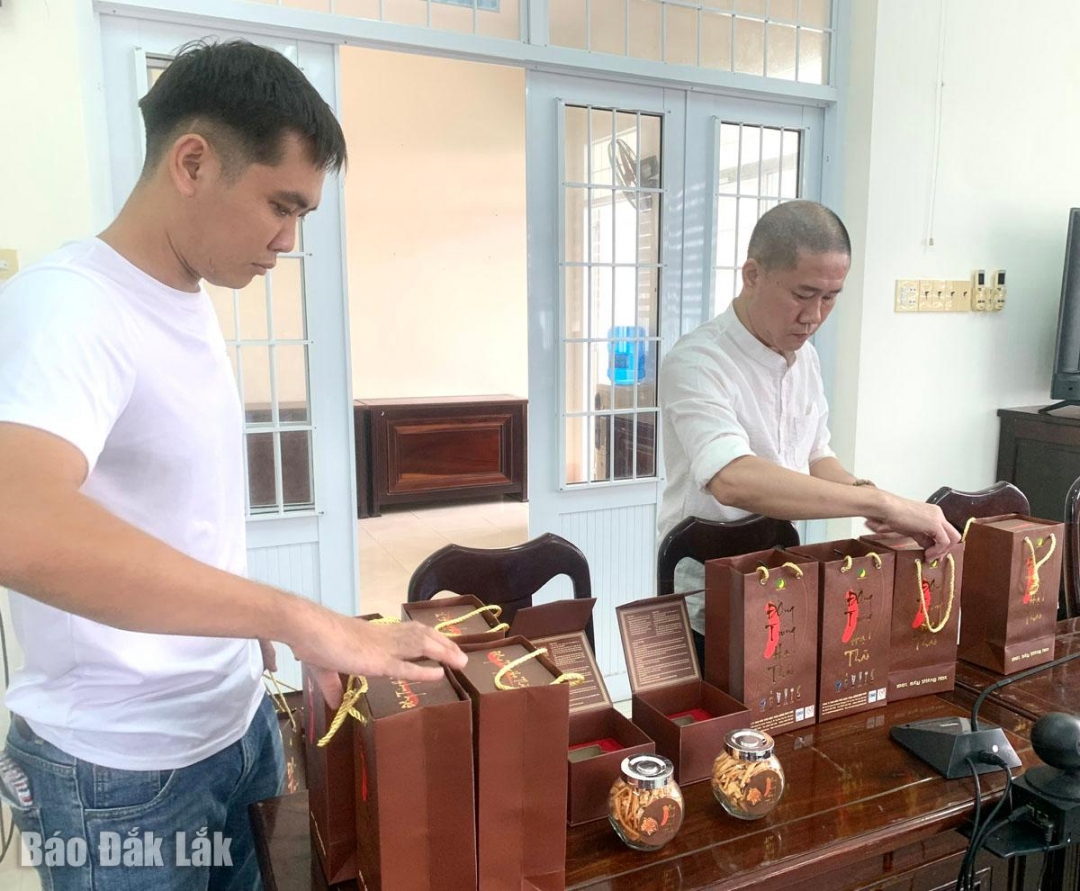 Thành viên dự án giới thiệu sản phẩm đông trùng sấy thăng hoa 