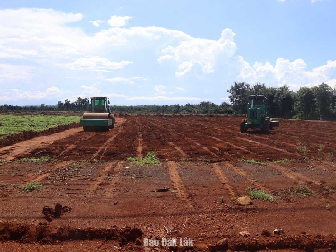 Những ca máy đầu tiên thi công tại vị trí nút giao CT.02 thuộc Dự án thành phần 3. Tại nút giao này, các nhà thầu đã nhanh chóng triển khai đội hình, huy động máy móc hiện đại nhất để bóc tách những lớp đất đầu tiên, tạo mặt bằng cho trục đường chính.