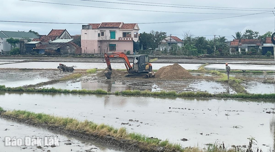 Bà con đang gia cố lại ruộng gia đình mình để chuẩn  bị xuống giống gieo sạ.
