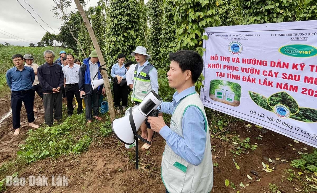 Cán bộ khuyến nông hướng dẫn kỹ thuật xử lý cây trồng bị ngập úng cho các hộ dân.