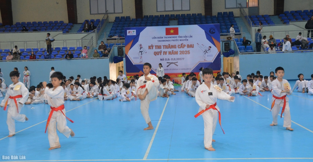 Các võ sinh thi thăng đẳng.