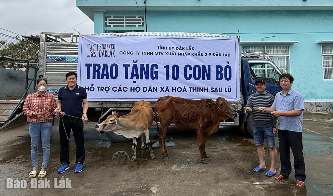 Lãnh đạo công ty và địa phương tặng bò cho người dân xã Hòa Thịnh.