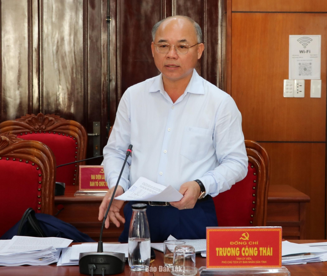 Phó Chủ tịch UBND tỉnh Trương Công Thái phát biểu ý kiến tại hội nghị.